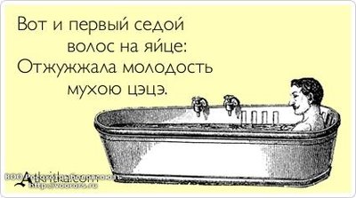 Муха цэцэ.jpg