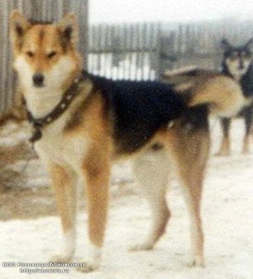 getImage (2).jpg