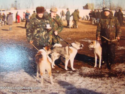 Элим Алексеева-полевой победтель( слева) и 2 его однопометника- 1 помет от Амбы.JPG