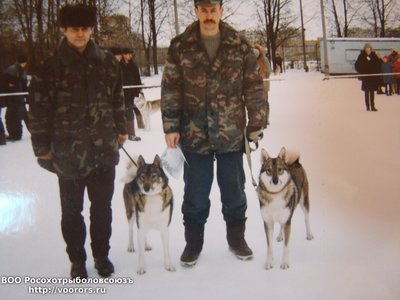 Юта Алексеева (пробака щенков)и Лайма Жабина( 1 помет из под Юты Алексеева).JPG
