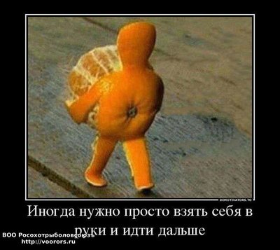f14983a5a44dd7bc7a53cfe65c6.jpg