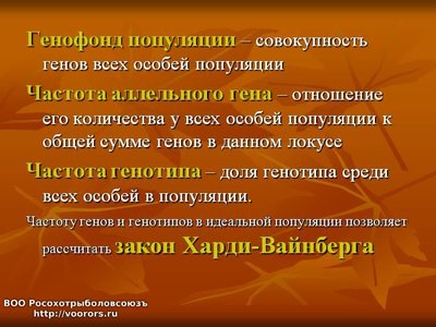 генофонд Х В.jpg