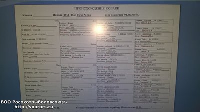 PART_1473098236094_FOT628A.JPG