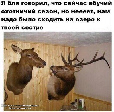 IMG-20160904-WA0000.jpg