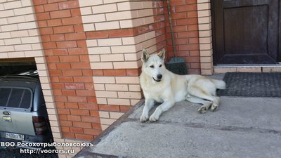 20160714_170654.jpg