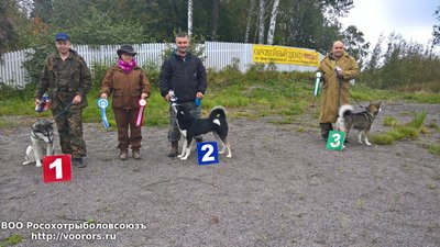 WP_20160910_14_37_58_Pro.jpg