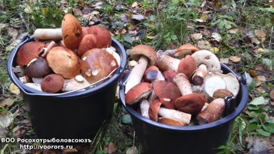 DSC_0007.JPG
