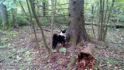 IMG_20160904_114034.jpg
