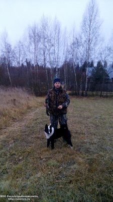 IMG_20151107_165034.jpg
