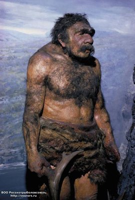 stevilcaveman-1.jpg