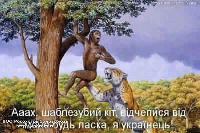 4464ed3301f3.jpg