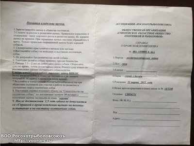 image-0-02-01-8203c926cb3aadafad0edcef537e8c71713611fb009d9bd20fad20630672cf97-V.jpg