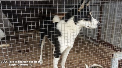 20160920_110639.jpeg