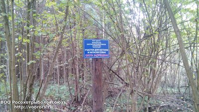 IMG_20160925_091251.jpg