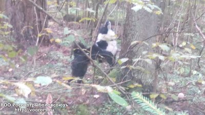 IMG_20160924_103150.jpg