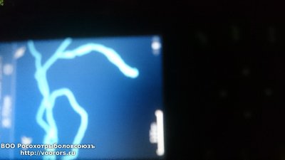 DSC_0655.JPG
