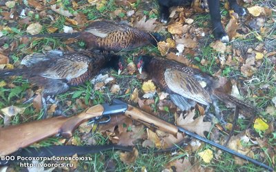 IMG_20161013_112547.jpg