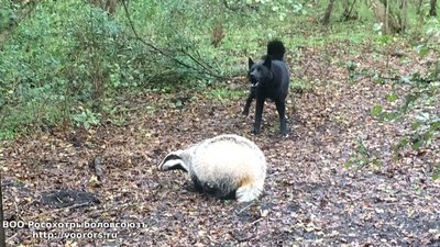 IMG-20161013-WA0018.jpg