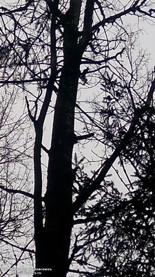 IMG_20161015_085616.jpg