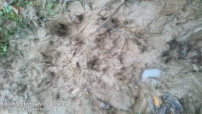 DSC_0654.JPG