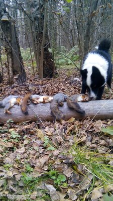 IMG_20161022_160527.jpg