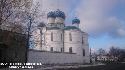 DSC_0743.JPG