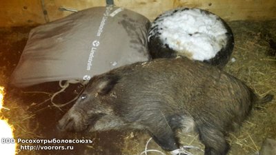IMG-20161107-WA0004.jpg