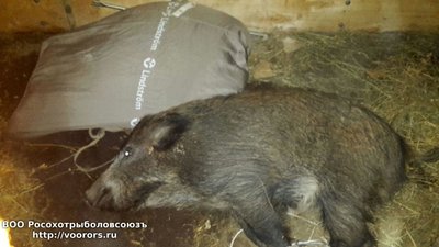 IMG-20161107-WA0002.jpg
