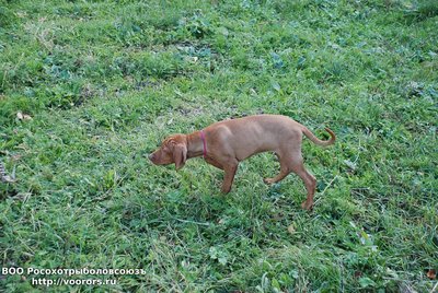 DSC_0326.JPG