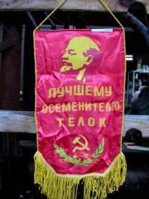 9765ca7ce681c9dab1b8ea3f2adbc06f_full.jpg