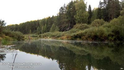 DSC_0011.JPG