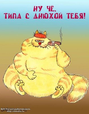 2_22.jpg