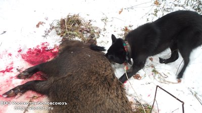 20161119_013947.jpg