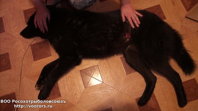 20161119_060745.jpg