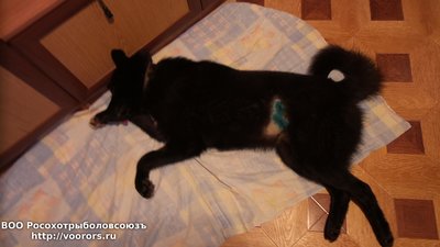 20161119_081014.jpg