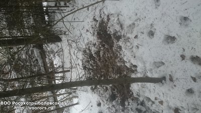 DSC_0882.JPG