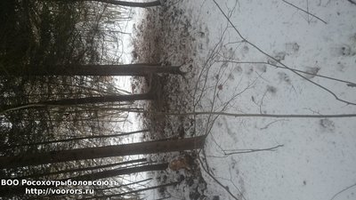 DSC_0881.JPG