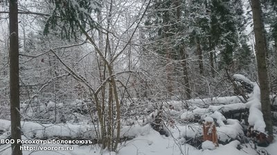 DSC_0886.JPG