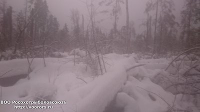 DSC_0891.JPG