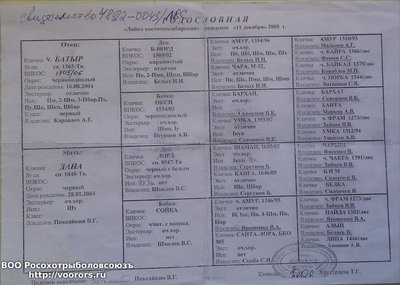 20160219_093117 .jpg