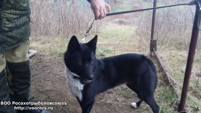 20161127_144457.jpg