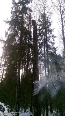 IMG_20161120_101632.jpg