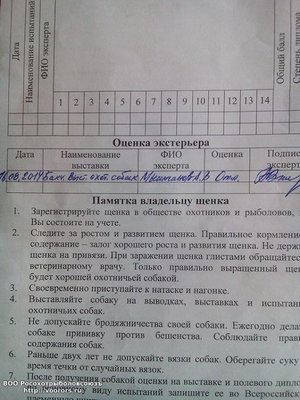 род.jpeg