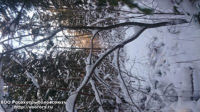 DSC_0908.JPG