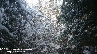 DSC_0906.JPG