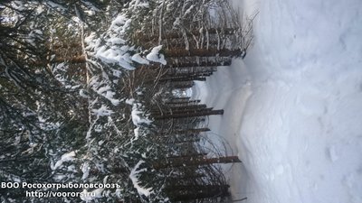 DSC_0904.JPG