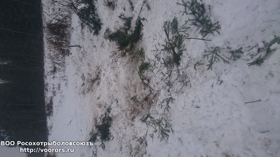 DSC_0958.JPG