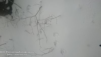 DSC_0965.JPG