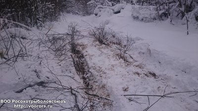DSC_0969.JPG