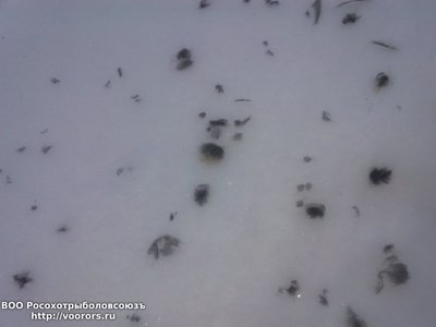 IMG_20100101_211944.jpg